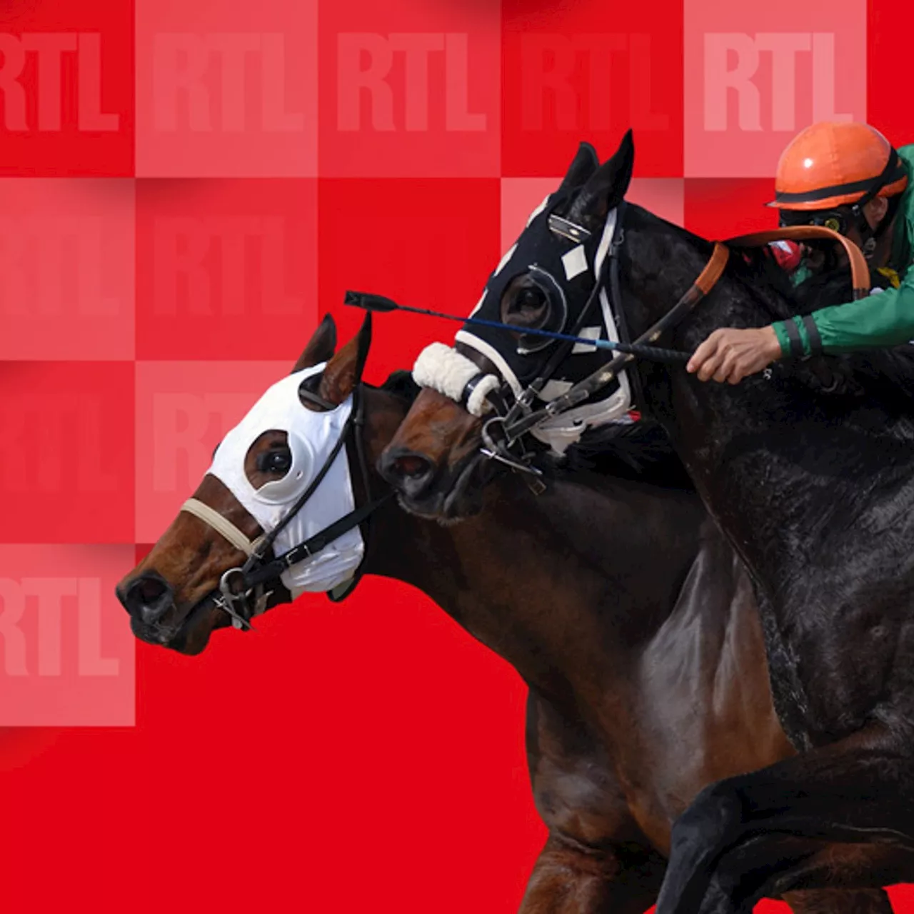 Quinté du jeudi 24 octobre 2024 à Auteuil : les pronostics