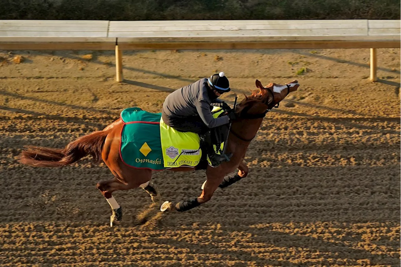 Record 80 international horses to compete in next week’s Breeders’ Cup at Del Mar