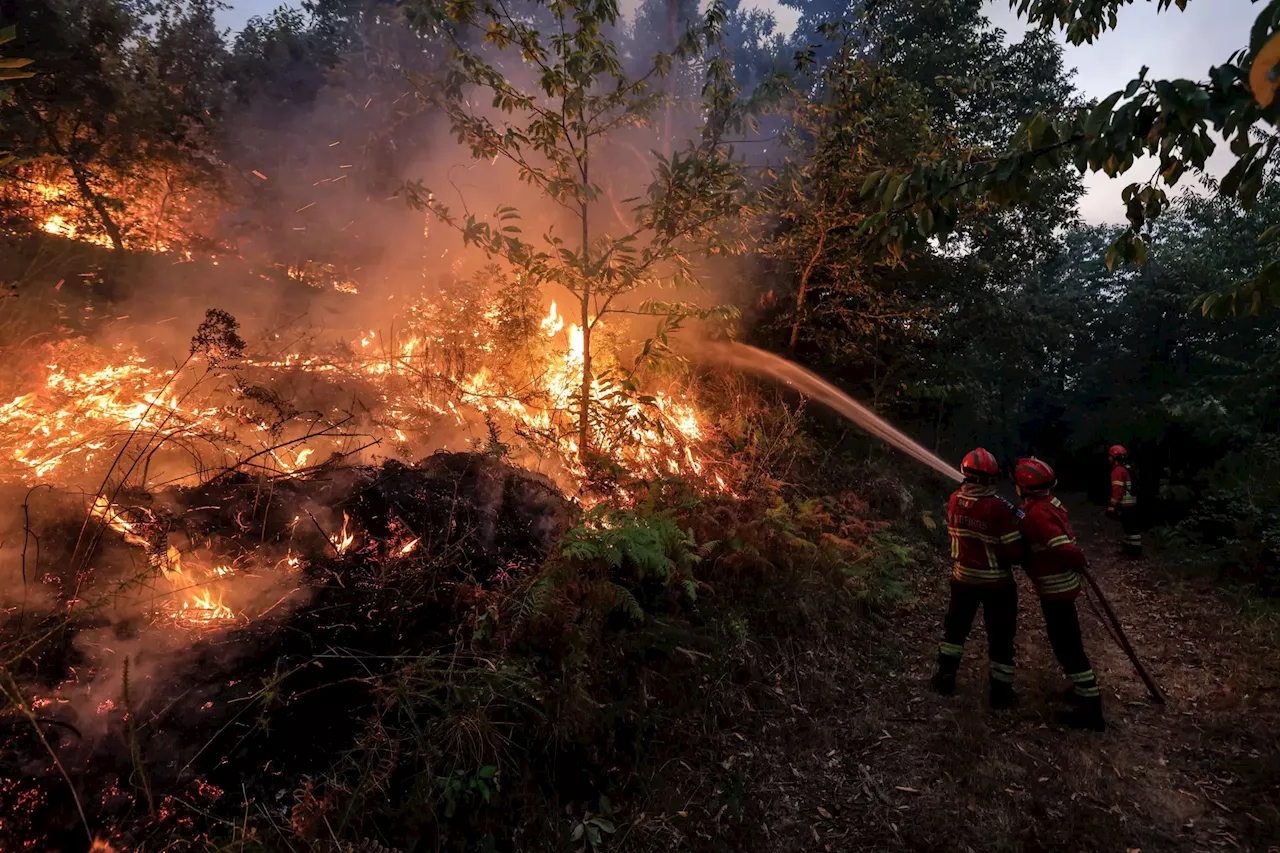 Detido suspeito de atear um dos grandes fogos de Vila Pouca de Aguiar