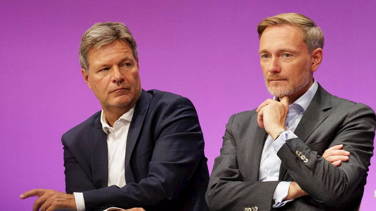 Finanzminister kritisiert Wirtschaftsminister: Lindner bezeichnet Habecks Fondsidee als »Hammer«