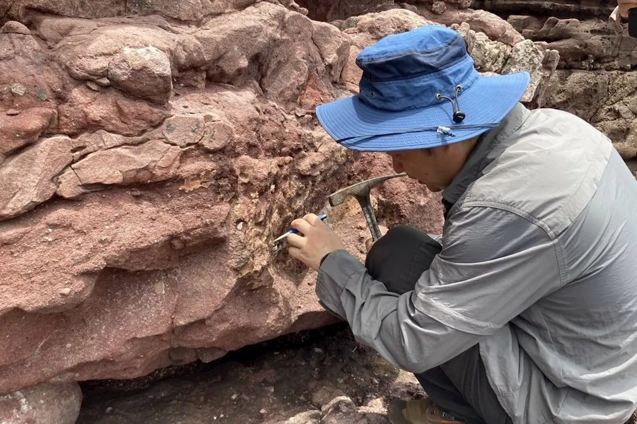 Hong Kong discovers dinosaur fossils for the first time