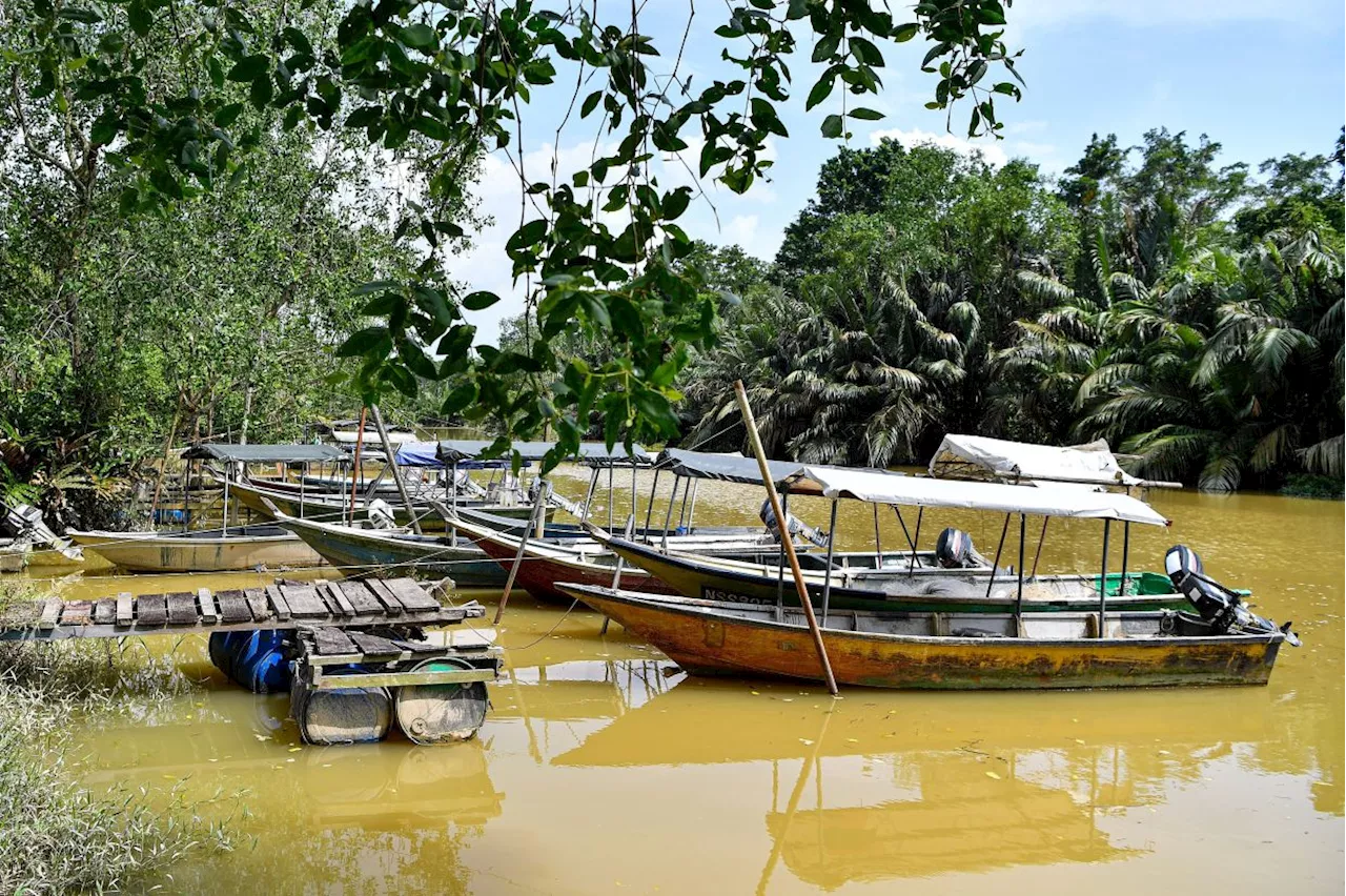 New jetty in 'giant freshwater prawn' area will draw more tourists, says Negri exco member