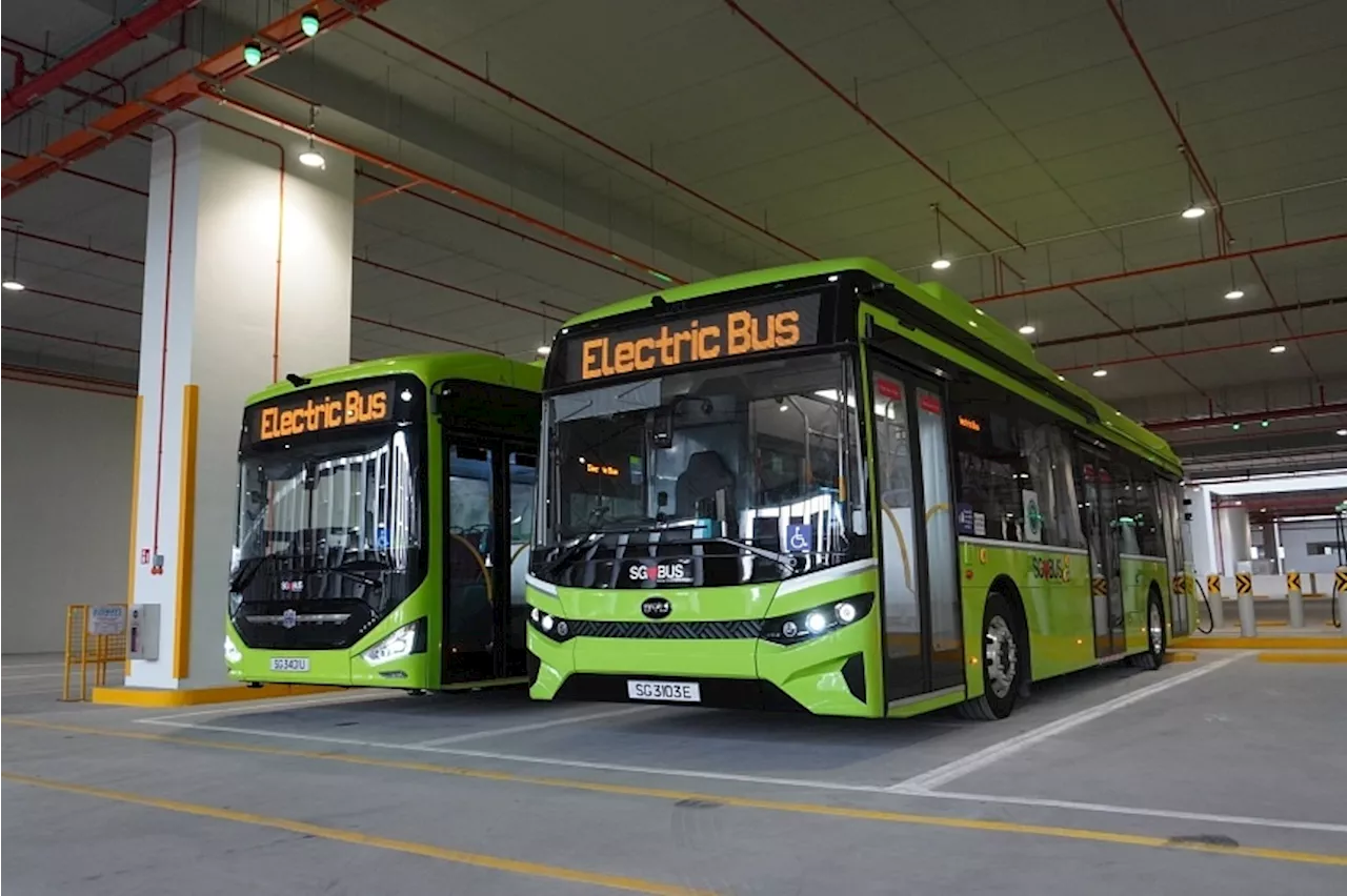 10 more electric public buses to hit Singapore roads from December