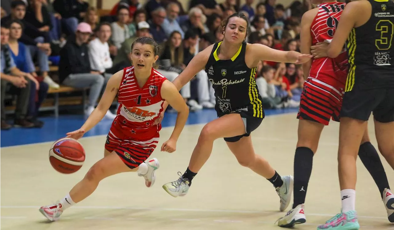 Basket-ball (NF2) : le Stade Rochelais Rupella défie Lamboisières