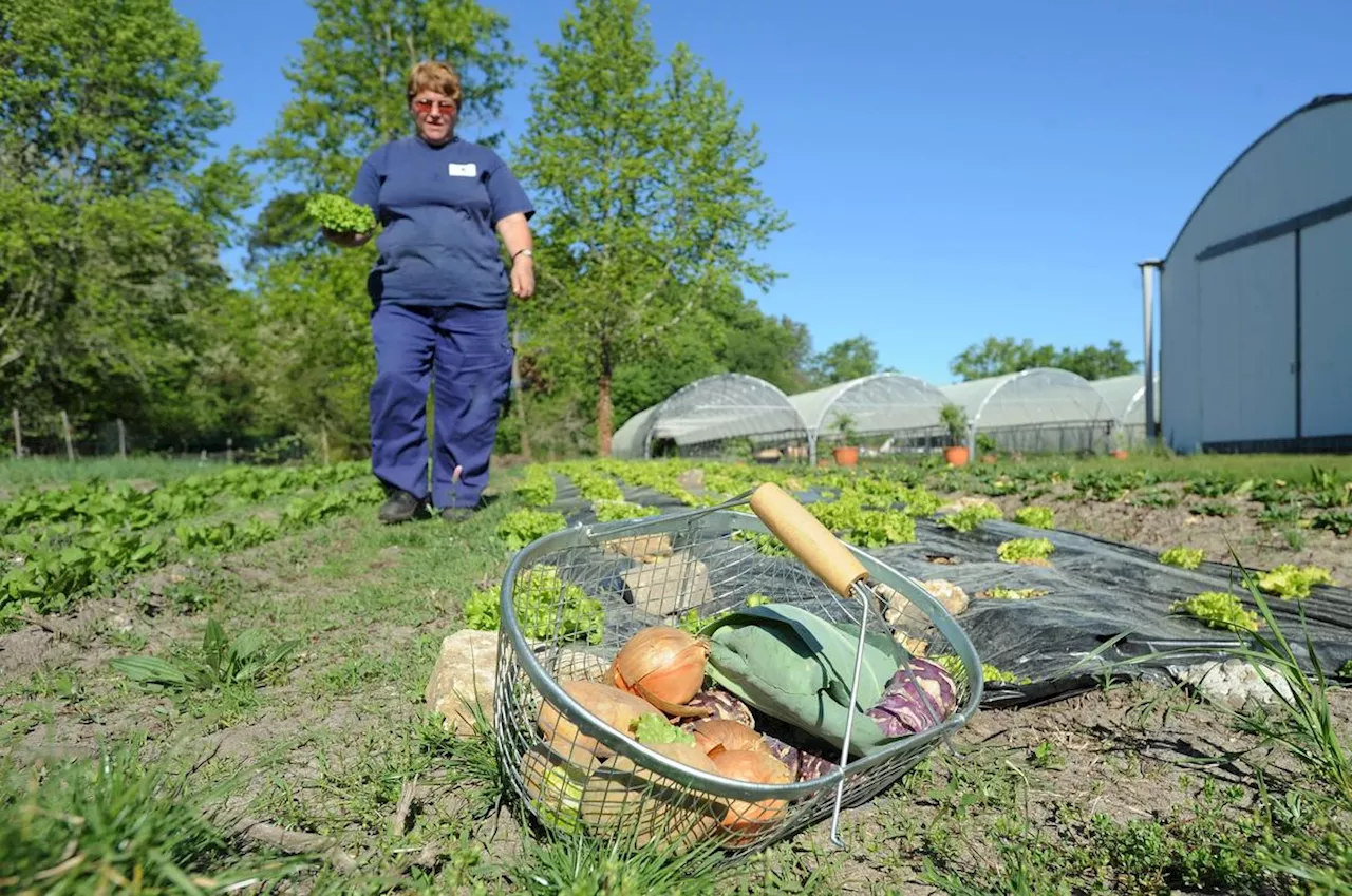 Mont-de-Marsan : les Jardins de Nonères organisent la 16e édition de la Foire aux plantes