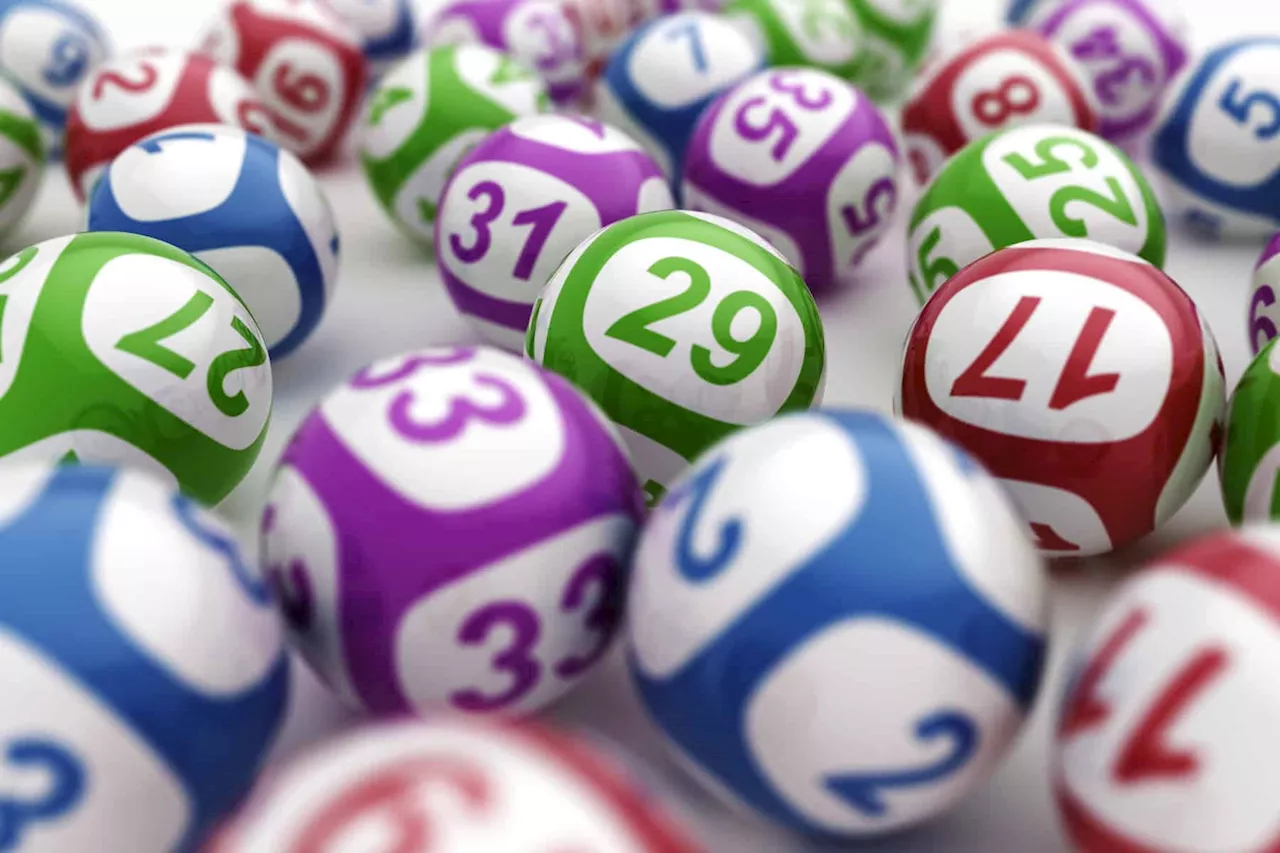 Daily Lotto results: Wednesday, 23 October 2024