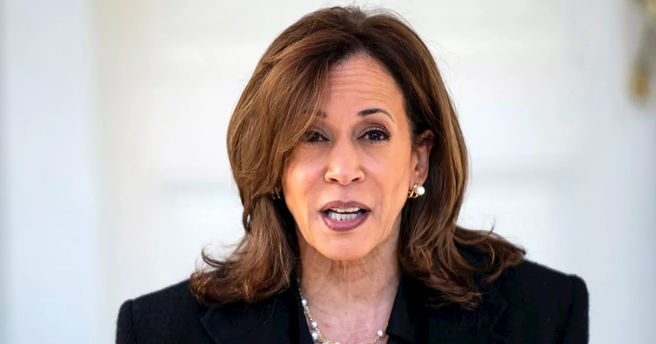 Kamala Harris Issues Dire Warning About Trump