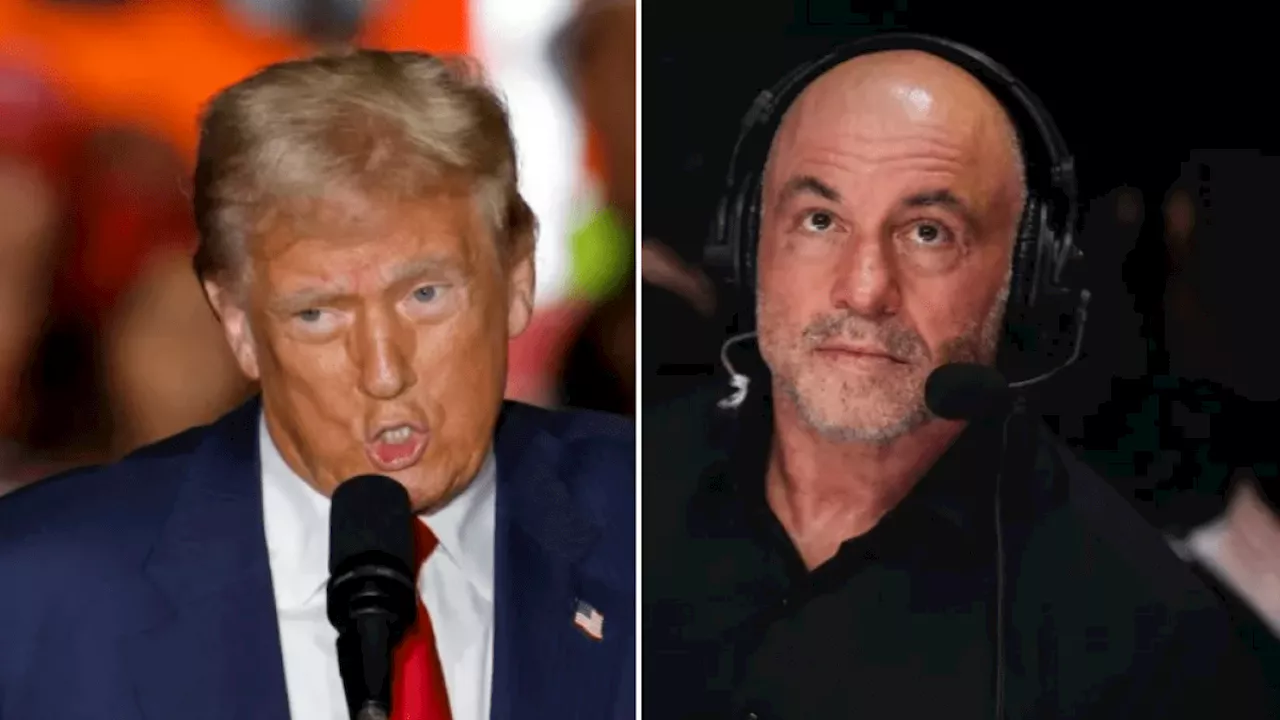 When Trump is on the Joe Rogan podcast, and their past quarrels explained