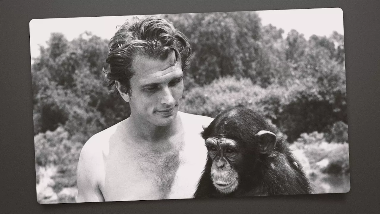 Ron Ely, Star of the First Tarzan Series for Television, Dies at 86