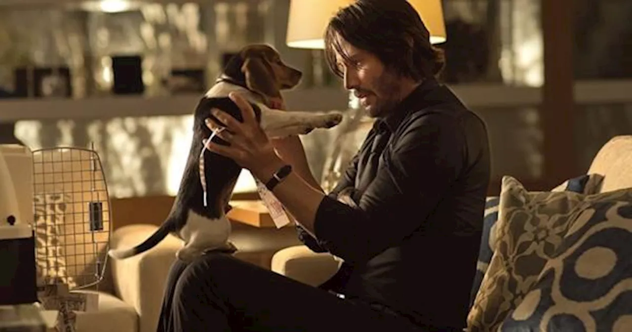 ¿Alguien quiere pensar en los perritos?' La 1era entrega de 'John Wick', con Keanu Reeves, SÍ tenía un final feliz