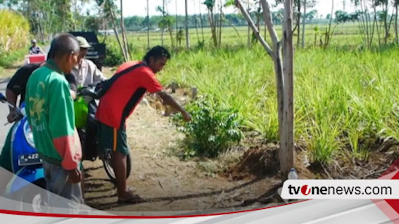 Pria Paruh Baya Dibacok Orang Tak Dikenal di Lumajang, Polisi : Motif dan Pelaku Masih dalam Penyelidikan