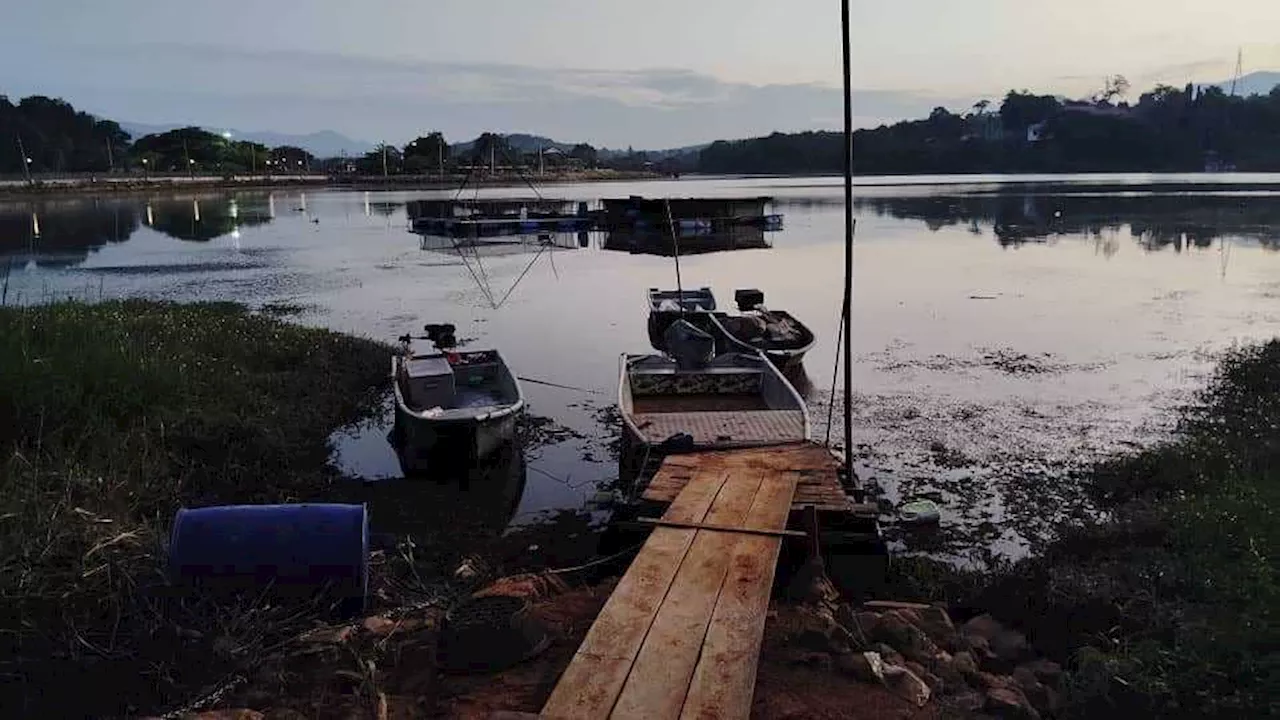 Penternak ikan sangkar terkejut Tasik Raban surut mengejut