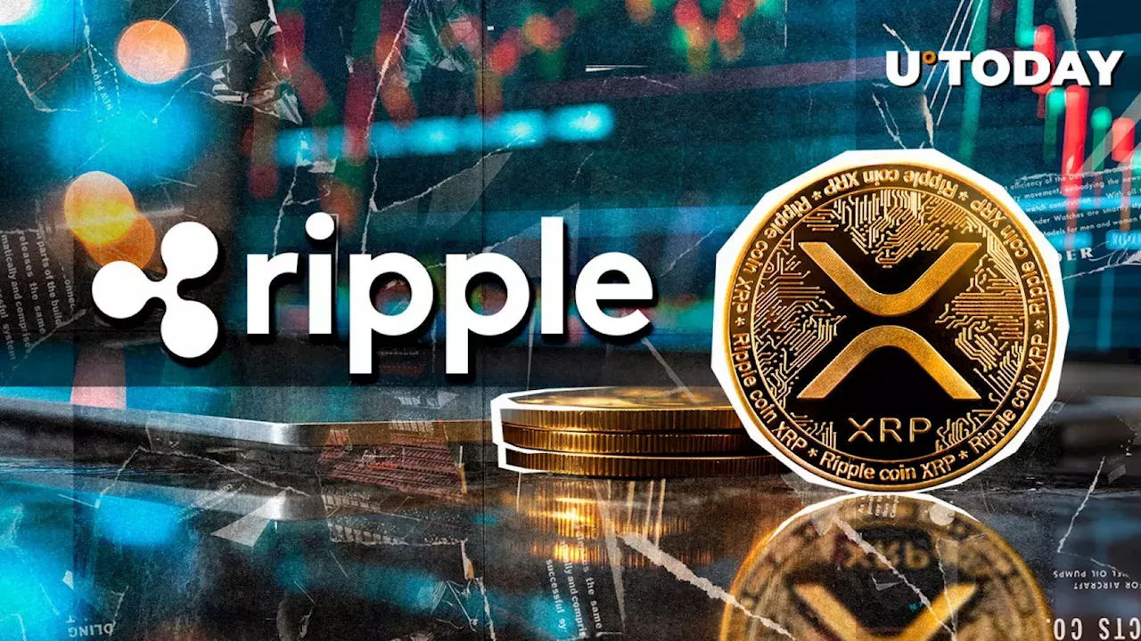 Million Xrp Shifted By Ripple To Anon Wallets Amid Partnership News United States