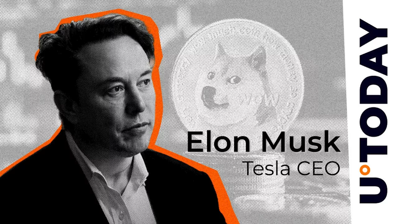 Elon Musk and Dogecoin Founder Agree on This Crucial Matter: Details