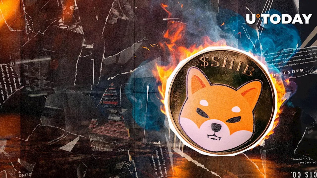 SHIB Burns Skyrocket 6,750% - Here's What's Happening