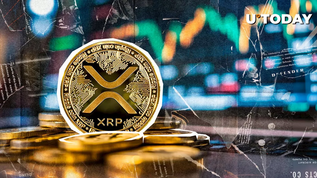 XRP Skyrockets 14,134% in 24 Hours in Abnormal Liquidation Imbalance