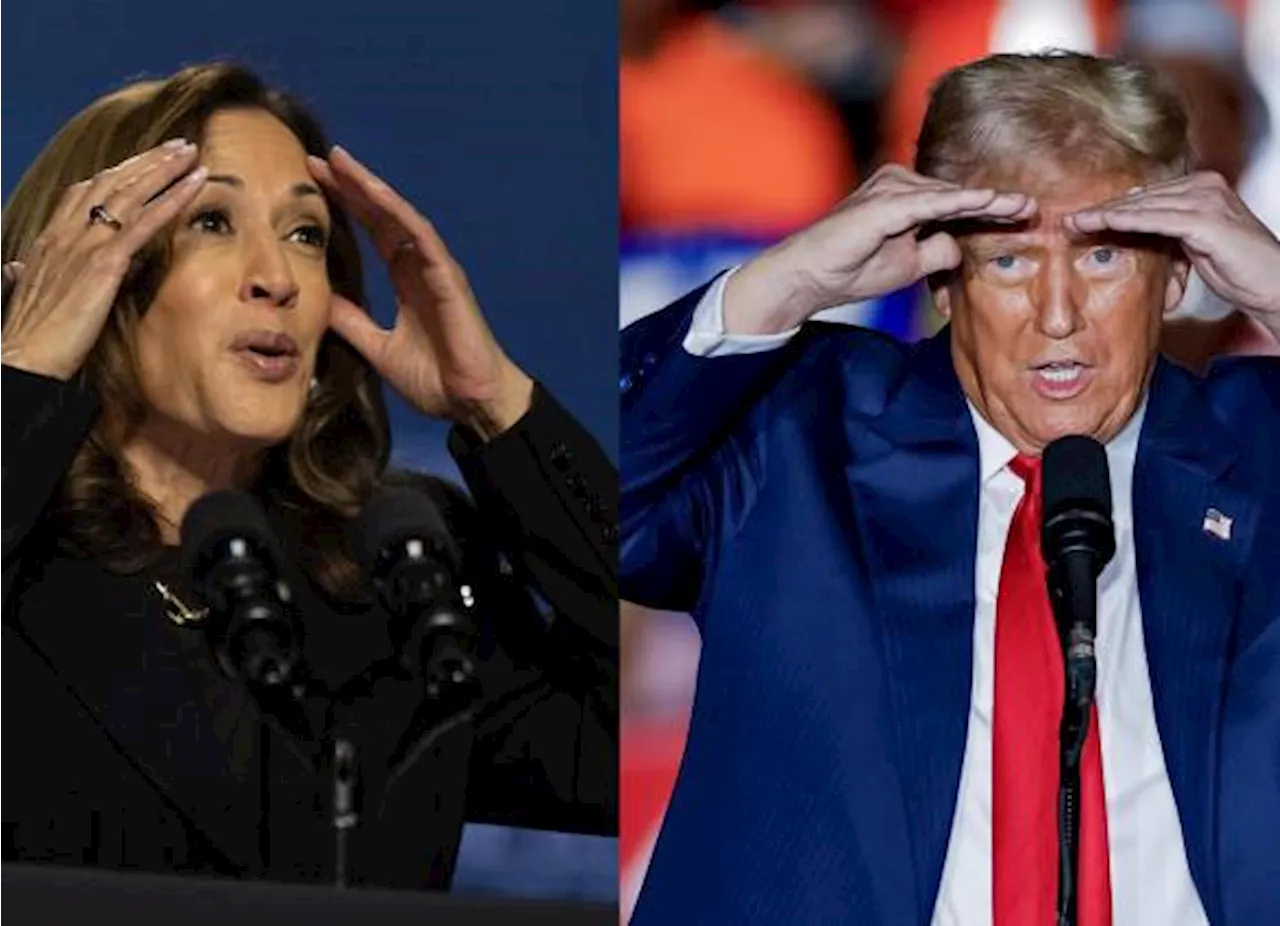 Harris vs Trump en política exterior: ¿Qué piensan de Gaza, Ucrania y Venezuela?