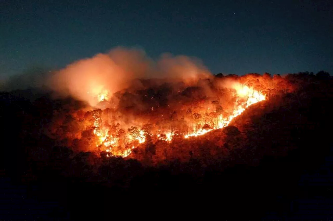 Firefighter dies when vehicle rolls over as crews battle Connecticut brush fire