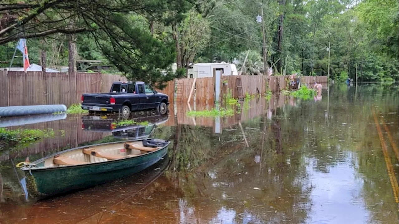 Citizens Property Insurance denied 77% of Florida homeowners’ claims from Hurricane Debby, new data shows