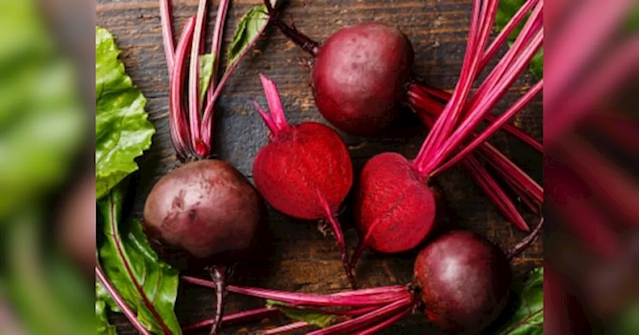 Beetroot Benefits: हीमोग्लोबिन बढ़ाना हो या वजन घटाना, चुकंदर है सेहत का खजाना! न्यूट्रिशनिस्ट ने गिनाए इसके अनेकों फायदे