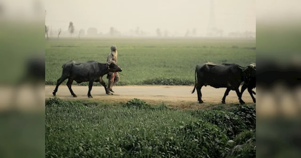 Bihar Bhumi: बिहार में जमीन खरीदना और बेचना हुआ आसान, राज्यभर में शुरू होगी इ-निबंधन की सुविधा