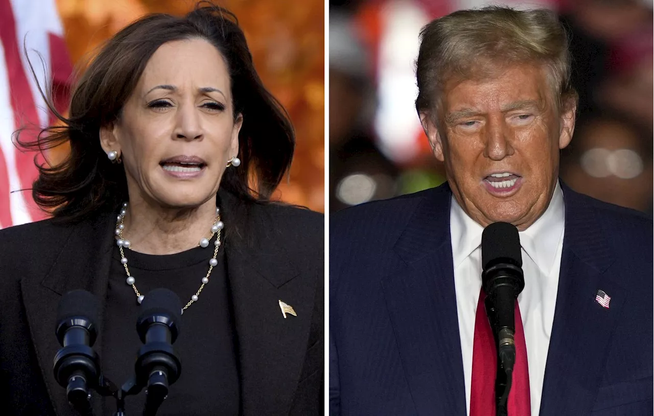 Election américaine 2024 : Face à des sondages très serrés, Harris attaque Trump le « fasciste »