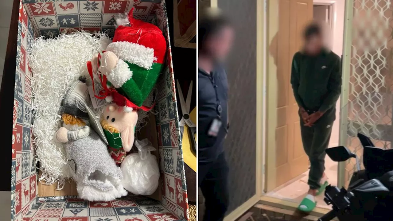 Stuffed toys filled with ketamine arrive in Perth on Christmas, leading to jail time for Italian national