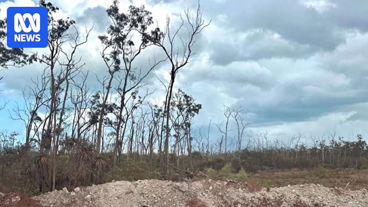 Dewatering at South32's Groote Eylandt mine probed after vegetation dieback