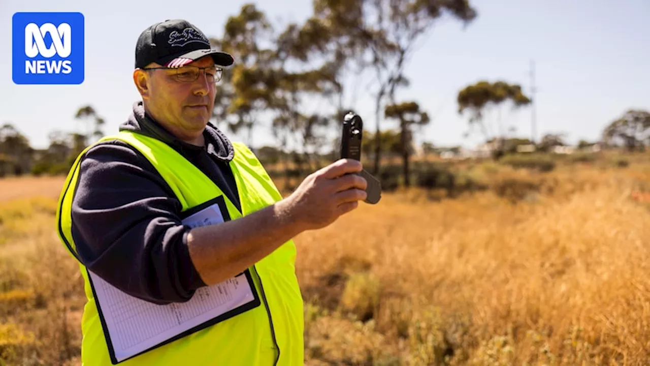 Odour specialist searches for source of mystery 'rotten egg' stench in Kalgoorlie-Boulder