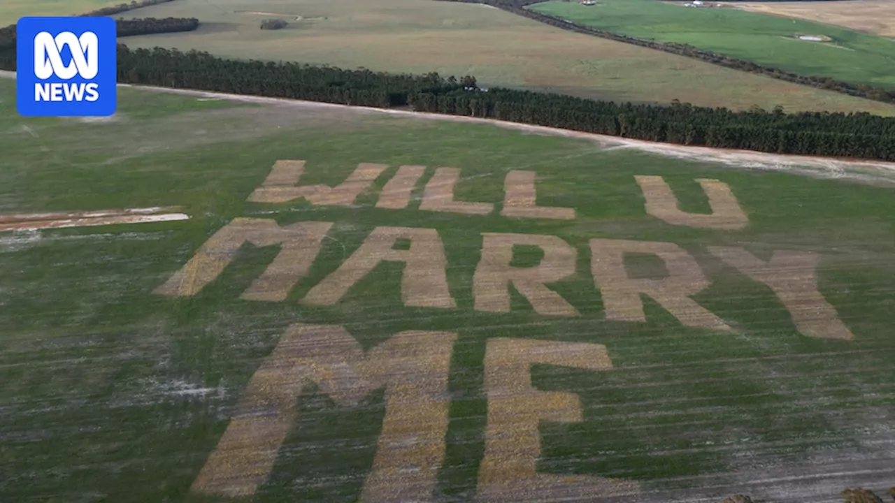 WA farmer turns South Stirling paddock into monster-sized marriage proposal