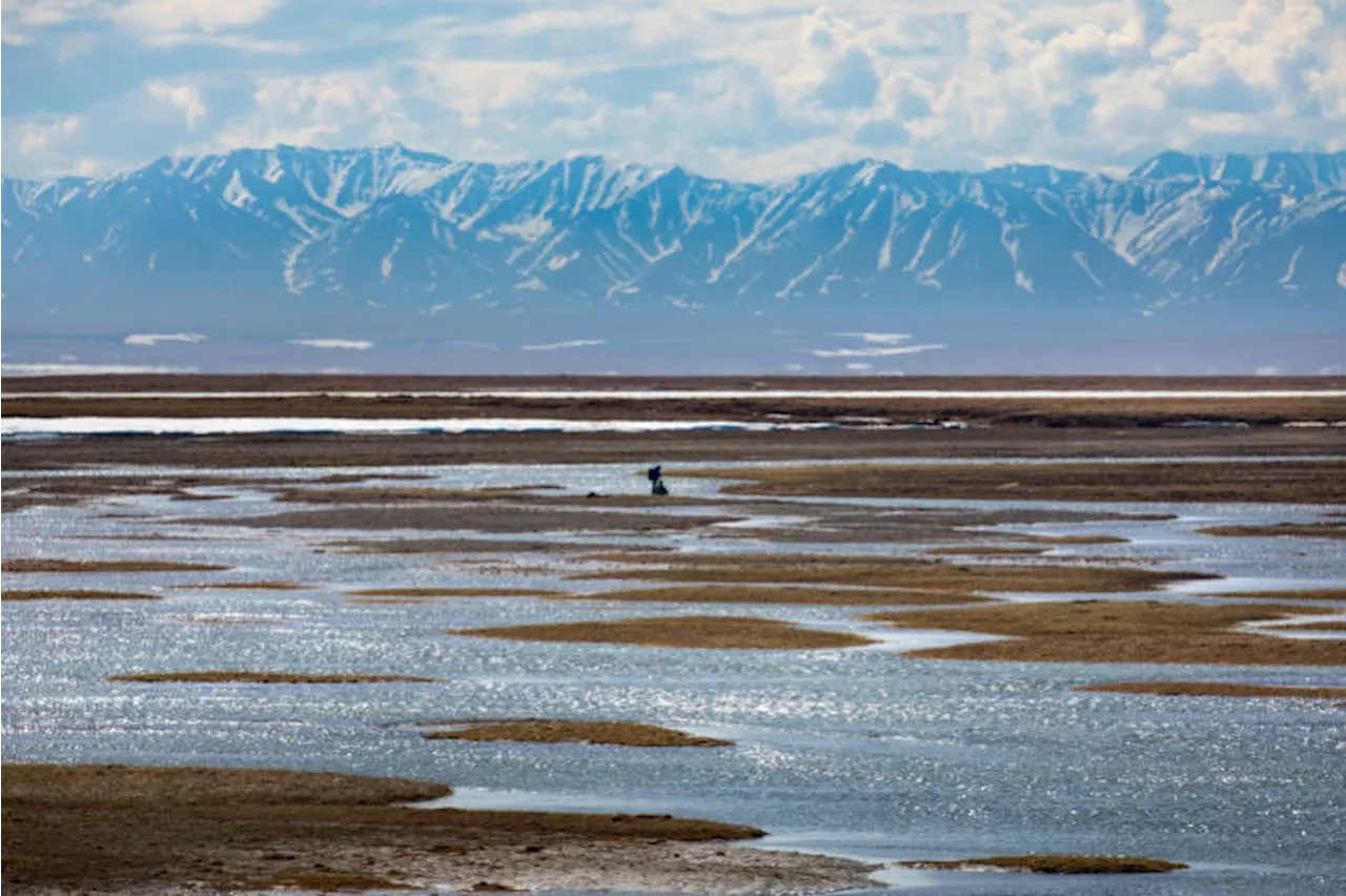 State-owned Alaska corporation approves up to $20M for potential Arctic refuge oil bid