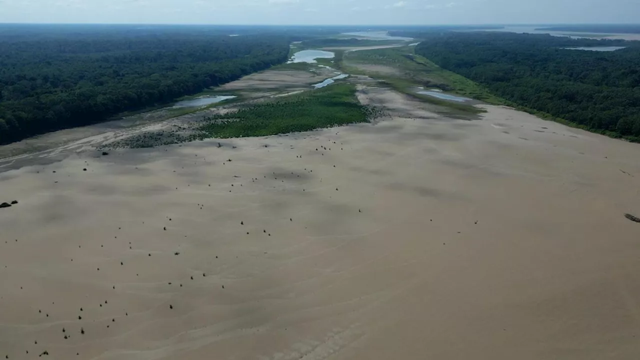 Indigenous communities bear the brunt of Amazon River’s extreme drought