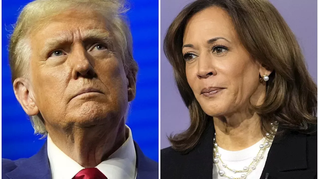 Live updates Trump campaigns in the Southwest while Harris rallies in