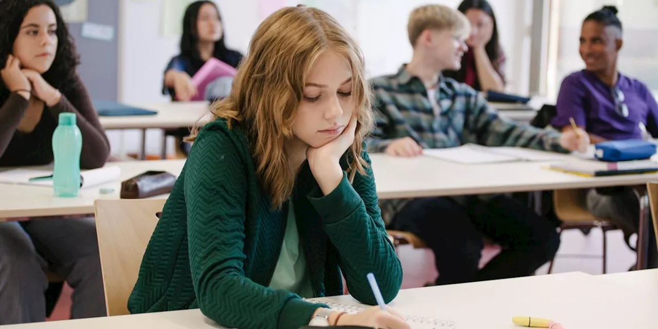 Schule: Marina Weisband über Mitbestimmung im Unterricht