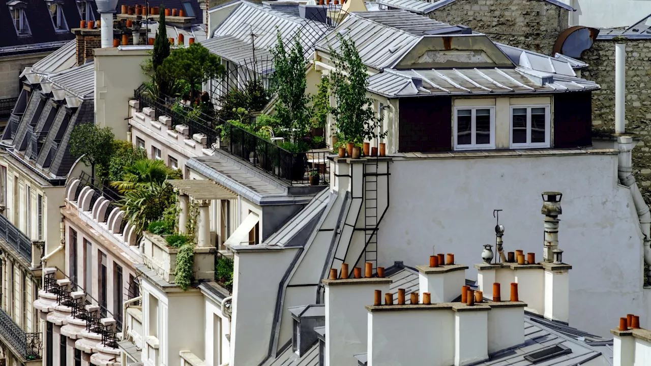 'Certains multipropriétaires préfèrent laisser leur bien vide': à Paris, de moins en moins de logements à...