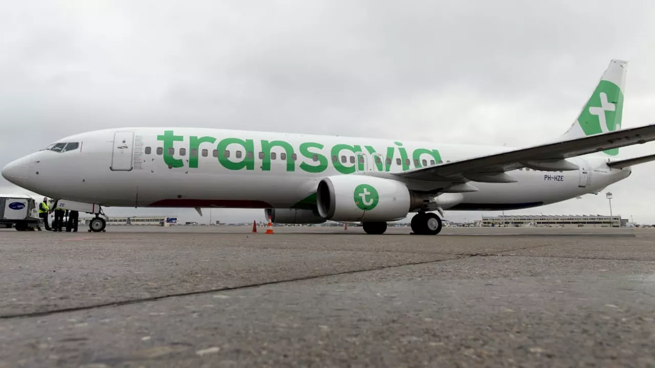 'Je ne vous parle pas à vous': Dominique Farrugia dénonce les propos d'une hôtesse Transavia, la compagnie...