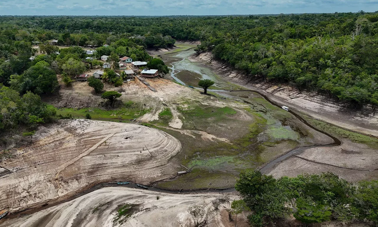 Hay que unir esfuerzos por este tema: congresistas internacionales en COP16 sobre Amazonía