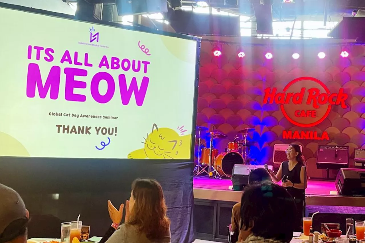  Hard Rock Cafe Manila celebrates Global Cat Day