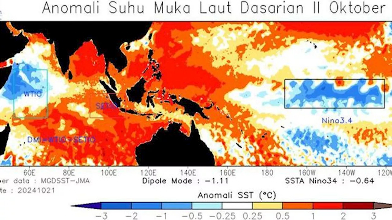 La Nina Hampir Pasti Landa RI, BMKG Sebut Tanda-Tandanya Sudah Muncul