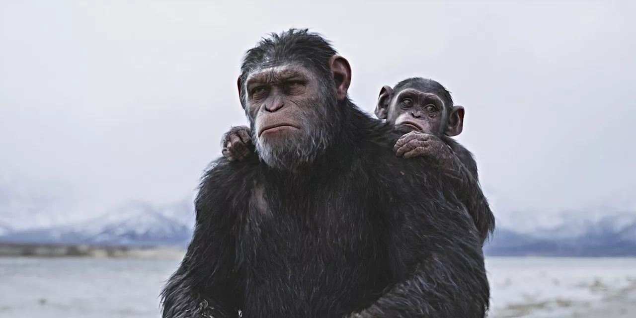 Yes, There Will Be Another 'Planet of the Apes' Movie