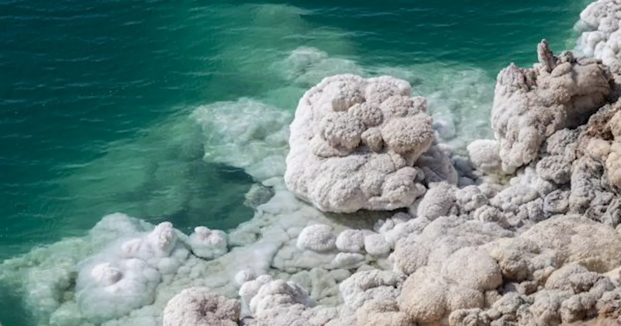 DESCUBRIMIENTO ARQUEOLÓGICO sin precedentes: hallan TESOROS del IMPERIO ROMANO en el MAR MUERTO