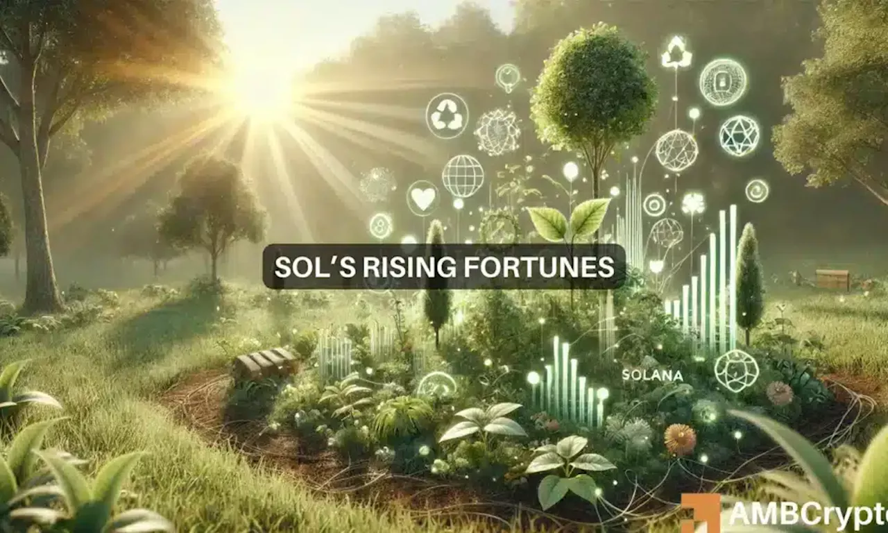 Solana network usage hits record highs – Will this help SOL reach $200?