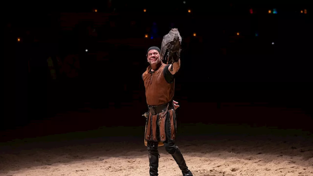 Hear ye, hear ye: How the falconer found his way at Medieval Times