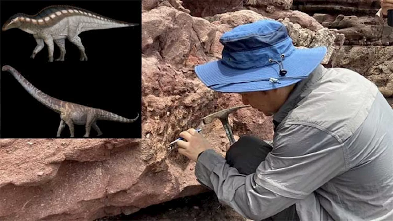 First-ever dinosaur fossil unearthed in Hong Kong: Report