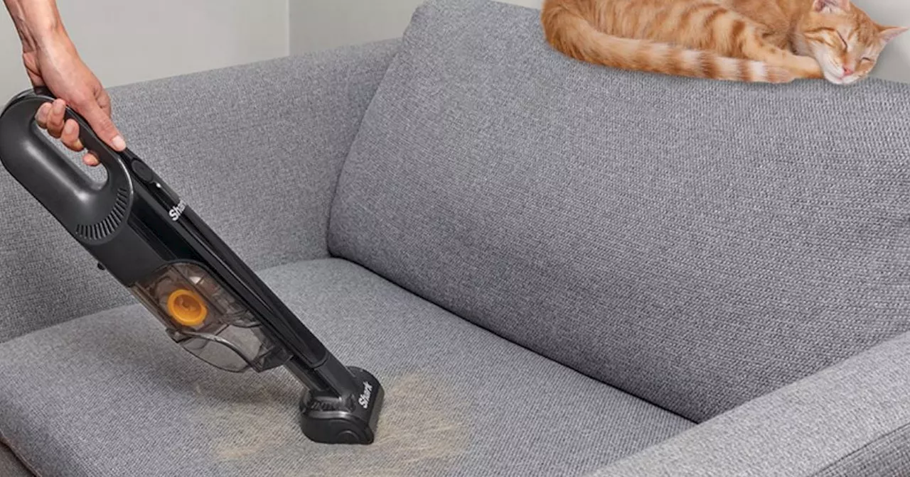 Pet owners approve of Shark's bestselling cordless vacuum