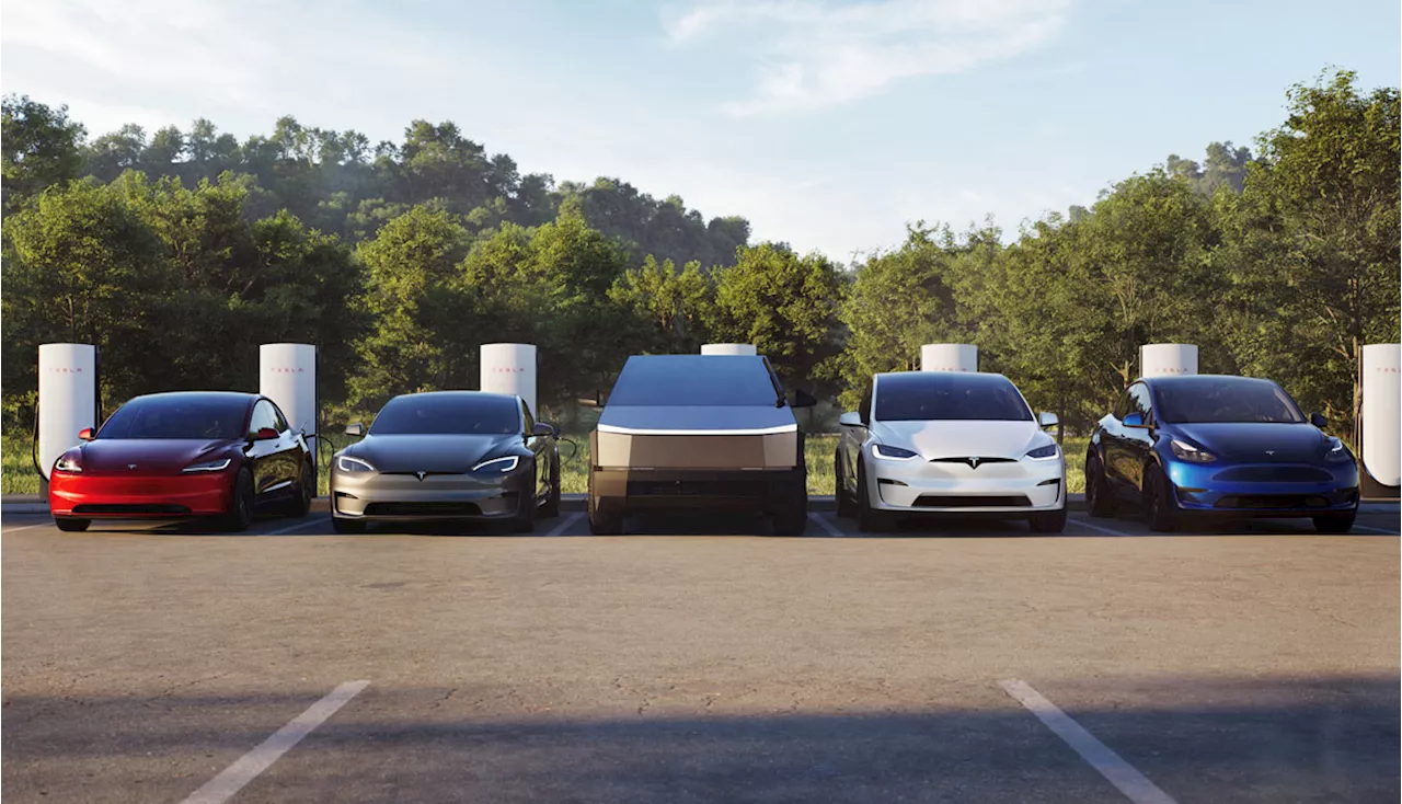 Tesla in Q3 2024 mit 25,2 Milliarden Dollar Umsatz und 2,2 Milliarden Dollar Gewinn