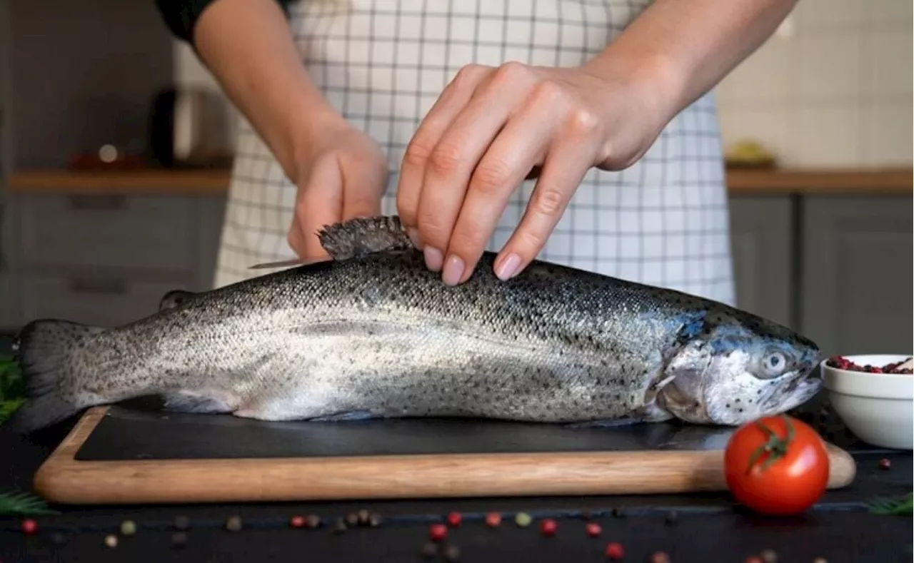 El tipo de pescado que pueden consumir todos y ayuda a mantener la mente más activa y enfocada