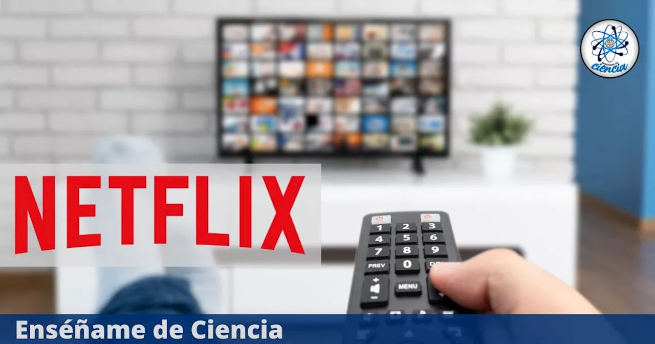 Las películas y series más esperadas por todos llegarán a Netflix en noviembre