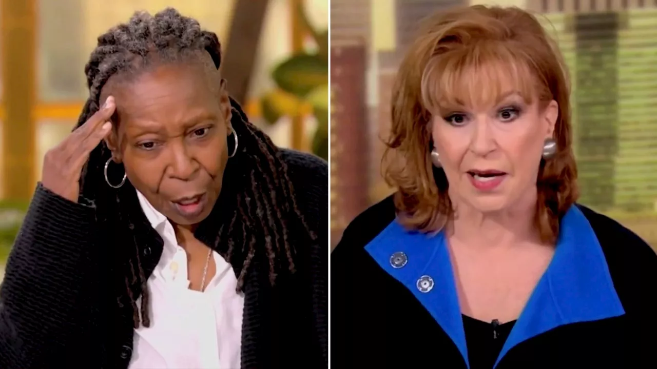 'The View' co-hosts Whoopi Goldberg, Joy Behar exasperated with undecided voters as Election Day approaches