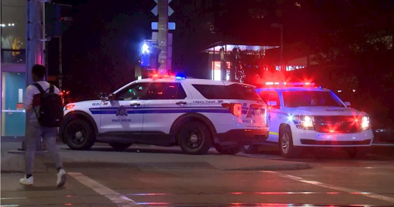 Calgary police arrest suspect in serious downtown, CTrain station stabbings